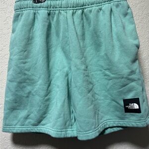 The North Face Men's Mint Green Shorts